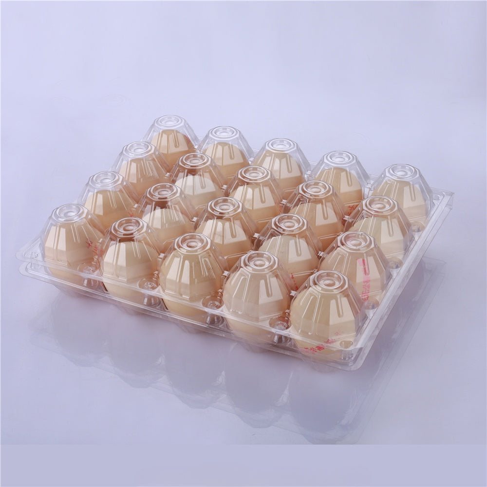 Clear Eco-friendly Plastic Blank Egg Cartons, Holds up to 24 Eggs Securely, Perfect for Family Pasture Farm Markets Display - Medium
