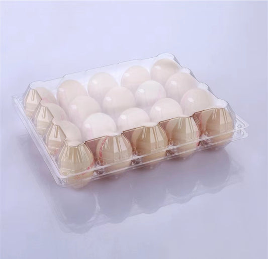 20 plastic egg cartons plastic serving tray filled plastic eggs food  Egg Storage Egg Carrier Egg Storage Box chiken egg Box