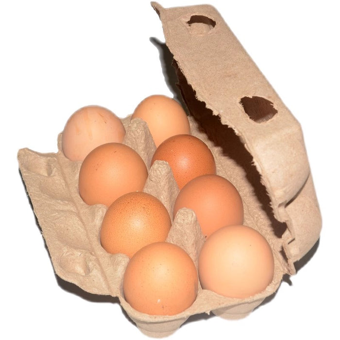 8 pulp egg carton cardboard egg cartons blank paper pulp egg cartons light Egg Cartons container empty egg tray pulp fiber egg holder for farm market family kitchen