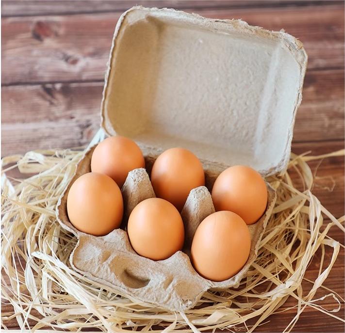 6 Pulp Fiber Egg Carrier Egg Storage Containers for Kitchen, Farm, Picnic,Travel, Brown