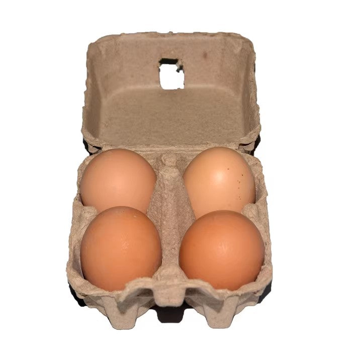 Egg cartons  egg tray holder 4 count egg storage containers holder chicken egg keeper paper pulp egg container family egg containers