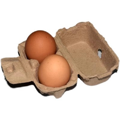 2 egg holder sets pulp egg tray kitchen egg holder egg storage box chicken egg cartons egg trays for deviled eggs fridge egg holder travel valet tray egg storage rack egg container.