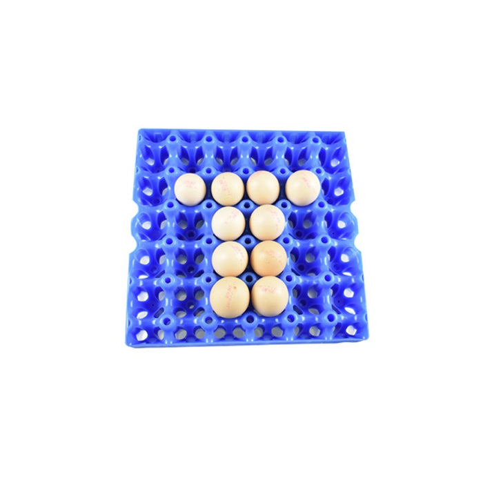 Wholesale 30 Holes Plastic Chicken Egg Tray Plastic