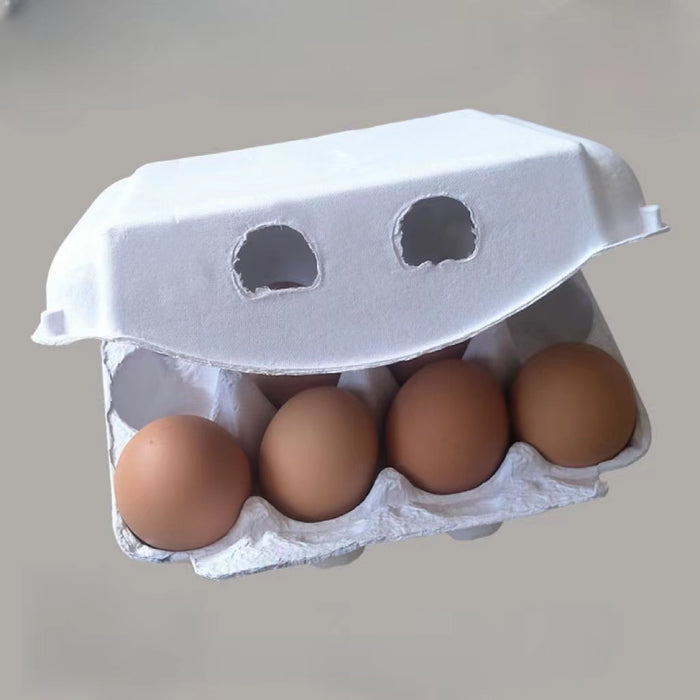 Cardboard Egg Cartons Blank Paper Pulp Egg Cartons One Dozen Egg Cartons Container Empty Egg Tray Pulp Fiber Egg Holder for Kitchen Farm Market Family Storing Eggs